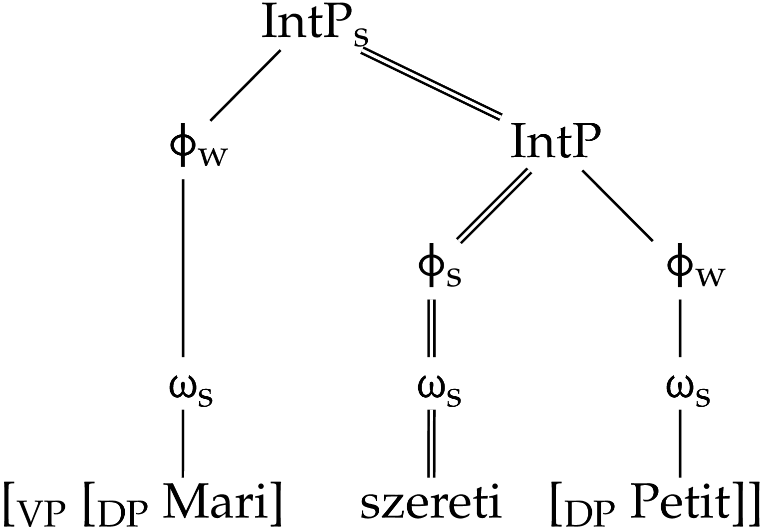 bacskai-atkari-8